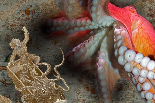 Kraken18 at