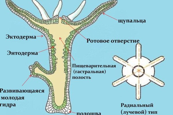 Кракен маркетплейс krk market com