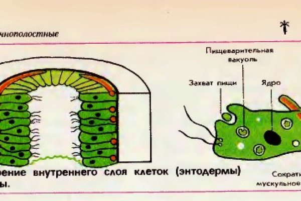 Ссылки тор браузер