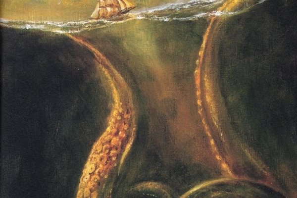 Kraken 20at net