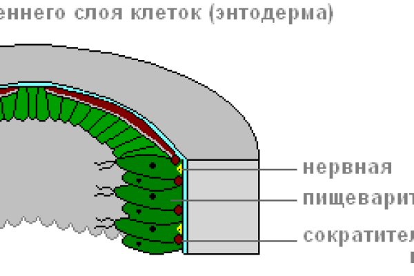 Кракен работает